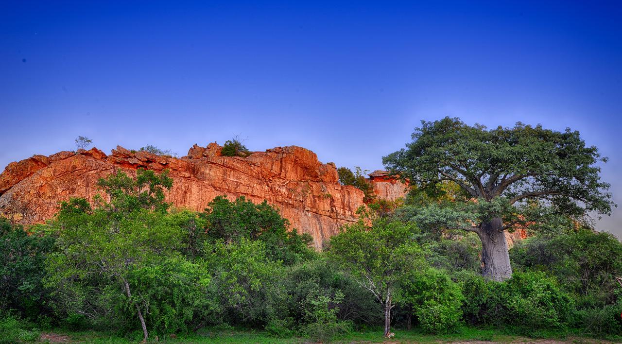 Masisi Awelani Lodge מראה חיצוני תמונה